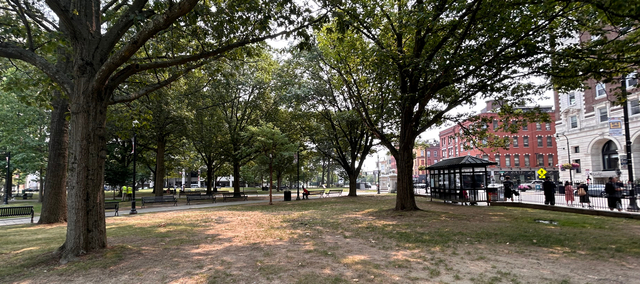 View from a park with open grassy areas and bench-lined sidewalks. At the edge of the park is a covered bus stop and a busy sidewalk, and there are large brick buildings across the street.