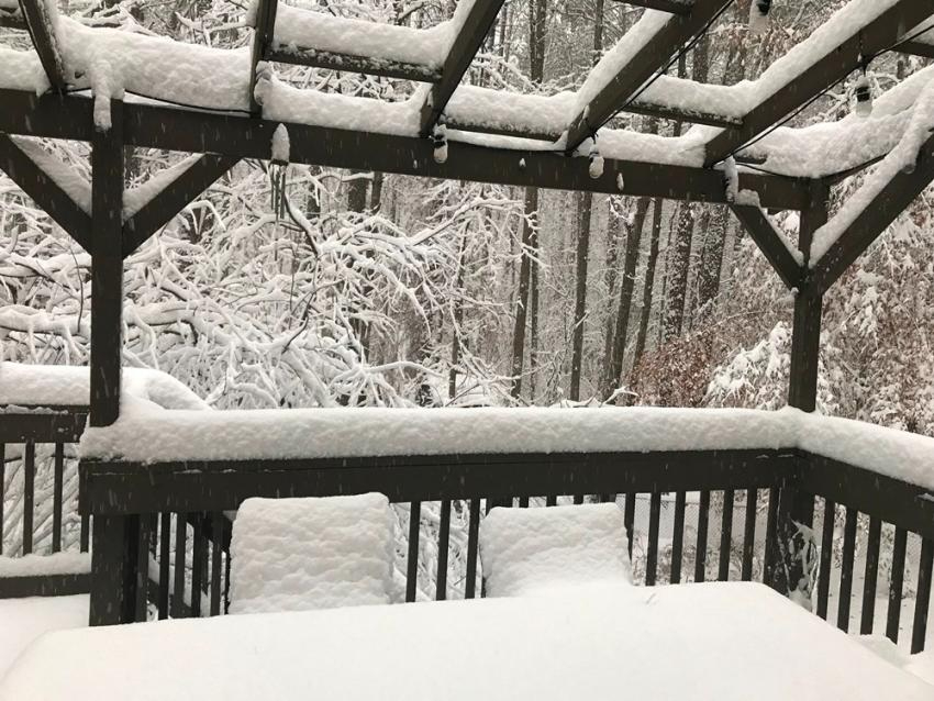 A Snowy Day in Raleigh